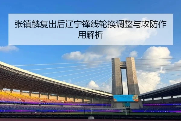 张镇麟复出后辽宁锋线轮换调整与攻防作用解析（Wanmei）